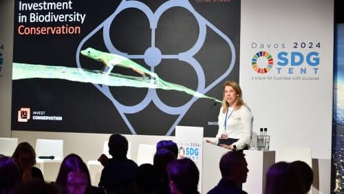PRESENTATION IN DAVOS